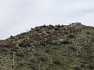 photo thumbnail #14