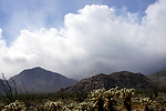 photo thumbnail #3