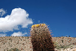 photo thumbnail #14