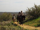 photo thumbnail #5