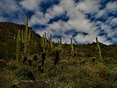 photo thumbnail #10