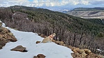 photo thumbnail #7