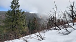 photo thumbnail #12