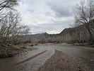 photo thumbnail #1