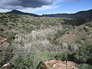 photo thumbnail #8