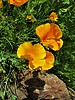 photo thumbnail #10
