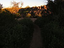 photo thumbnail #3