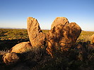 photo thumbnail #7