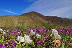 photo thumbnail #15