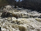 photo thumbnail #2