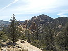 photo thumbnail #5
