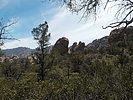 photo thumbnail #8