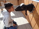 photo thumbnail #9