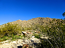 photo thumbnail #3