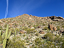 photo thumbnail #6