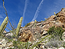 photo thumbnail #7