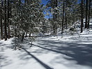 photo thumbnail #8