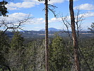 photo thumbnail #11