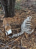 photo thumbnail #3