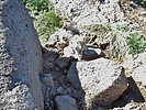 photo thumbnail #10