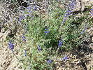 photo thumbnail #11