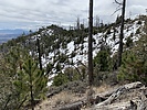 photo thumbnail #6