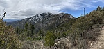 photo thumbnail #7