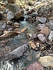photo thumbnail #10