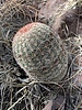 photo thumbnail #11