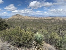 photo thumbnail #12