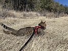 photo thumbnail #1