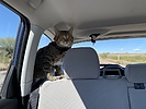 photo thumbnail #2