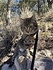 photo thumbnail #3