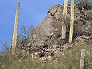 photo thumbnail #3