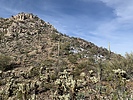 photo thumbnail #7