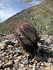 photo thumbnail #13