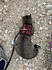 photo thumbnail #4
