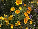photo thumbnail #1