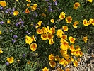 photo thumbnail #3
