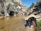 photo thumbnail #6