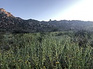 photo thumbnail #5