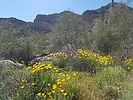 photo thumbnail #4