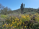 photo thumbnail #7