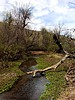 photo thumbnail #3