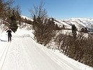 photo thumbnail #7