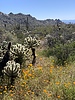 photo thumbnail #4