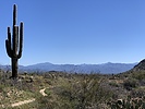 photo thumbnail #5
