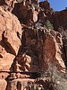photo thumbnail #13