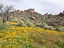photo thumbnail #7