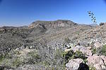photo thumbnail #8